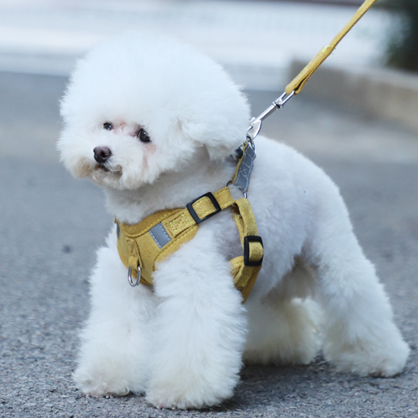 Fashion Pet Vest type traction chest strap cat dog adjustable retractable traction rope walking dog rope collar