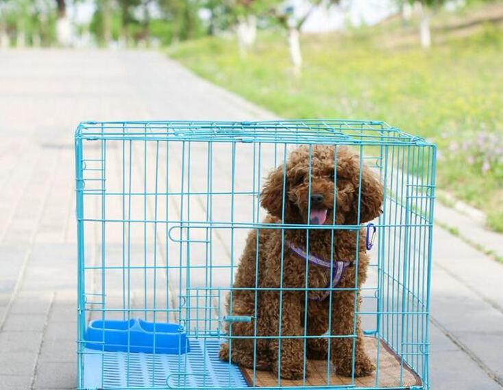 Metal foldable large dog cage collapsible pet cage kennel Mesh dog cage