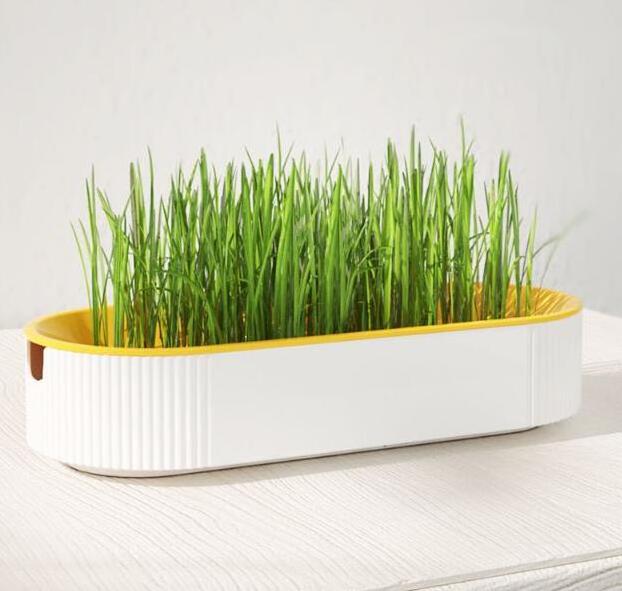 Cat Snacks t Mint Planting Cat Grass Pot Box Set Pet Supplies