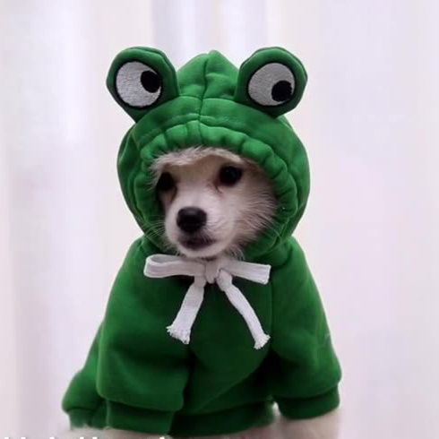 Factory Wholesale Pet Fruit Costume Clothes Cute Design Funny Animal Costume for Dog Cat