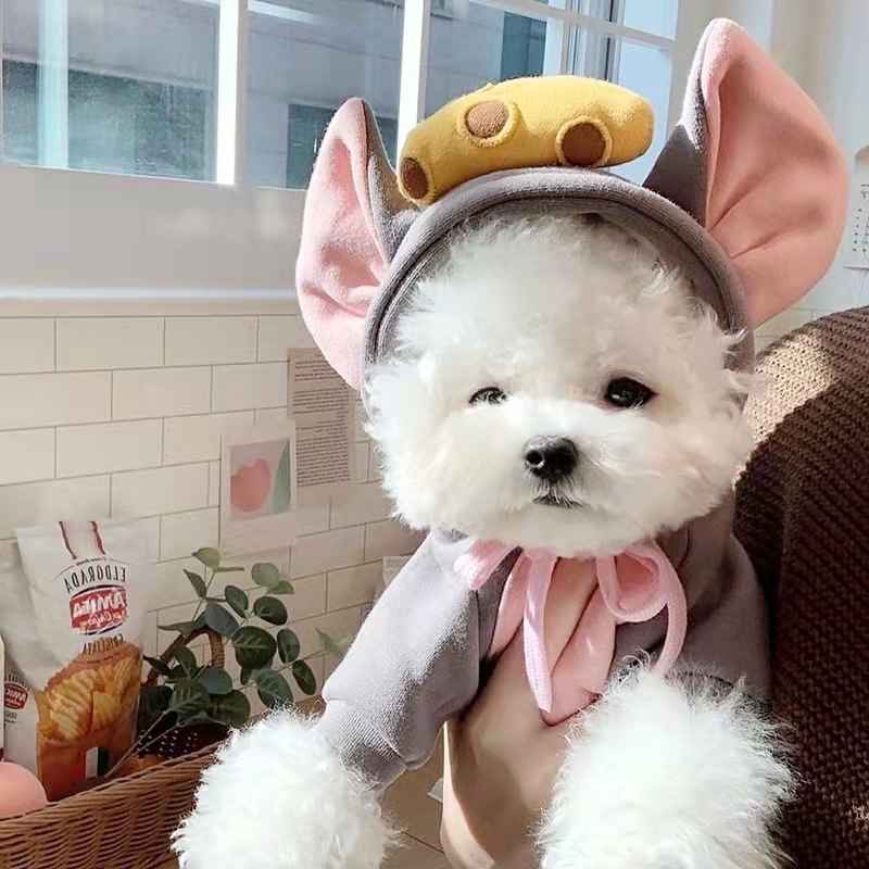 Factory Wholesale Pet Fruit Costume Clothes Cute Design Funny Animal Costume for Dog Cat