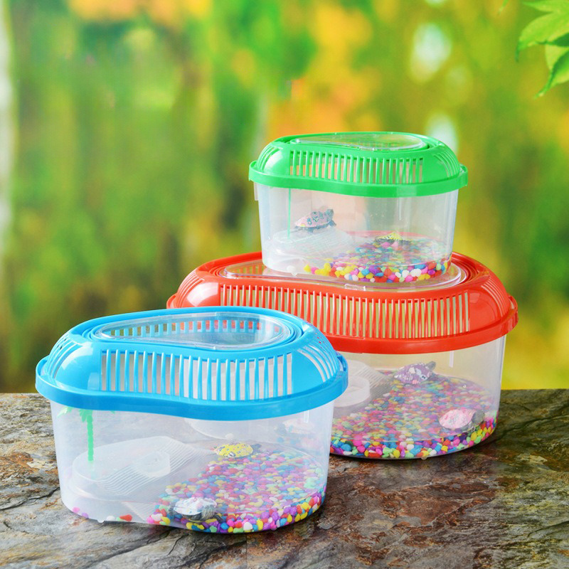 Factory Wholesale PP Plastic Transparent Turtle Transportation Box Multi Colors Fish Tank Aquarium Turtle Tank