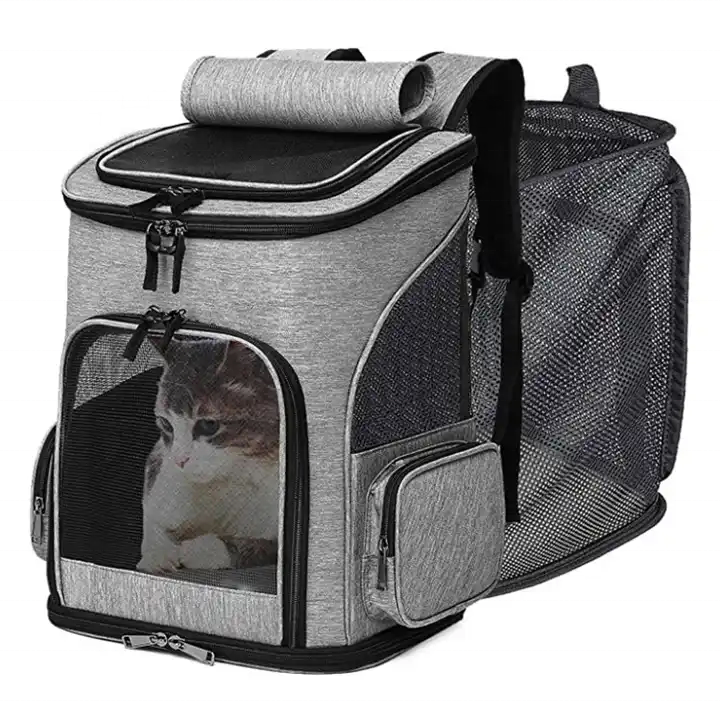 Direct Selling Recommend Pet Comfortable Removable Mat Pet Travel Bag Pet Travel Bag Suitcase Transparent