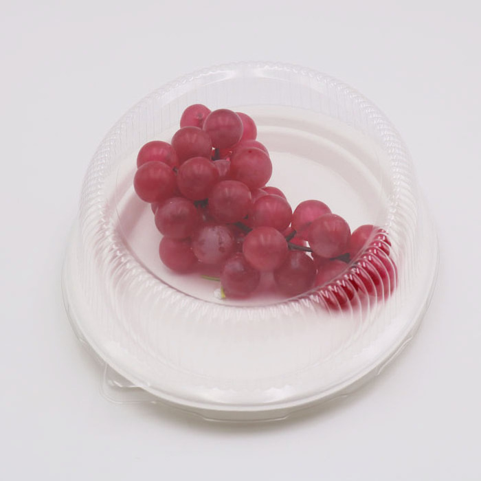 disposable bagasse plates with plastic transparent cover lid