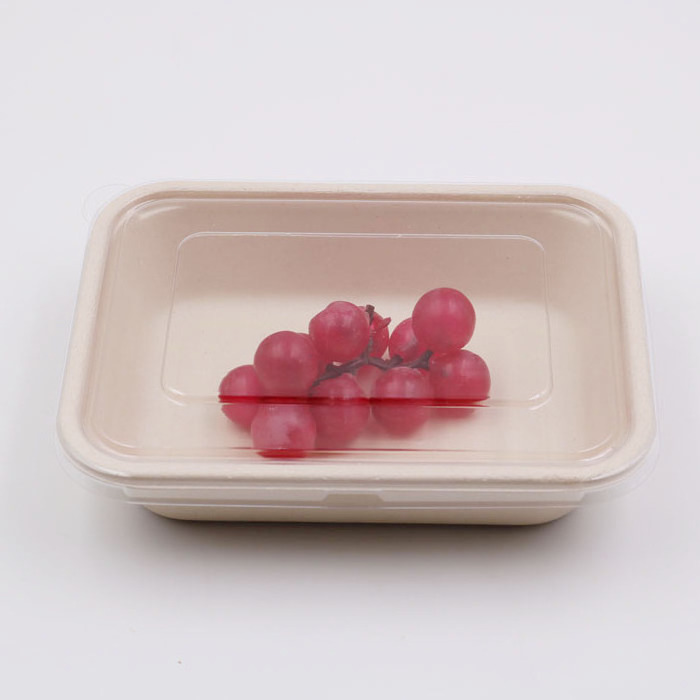 disposable bagasse plates with plastic transparent cover lid