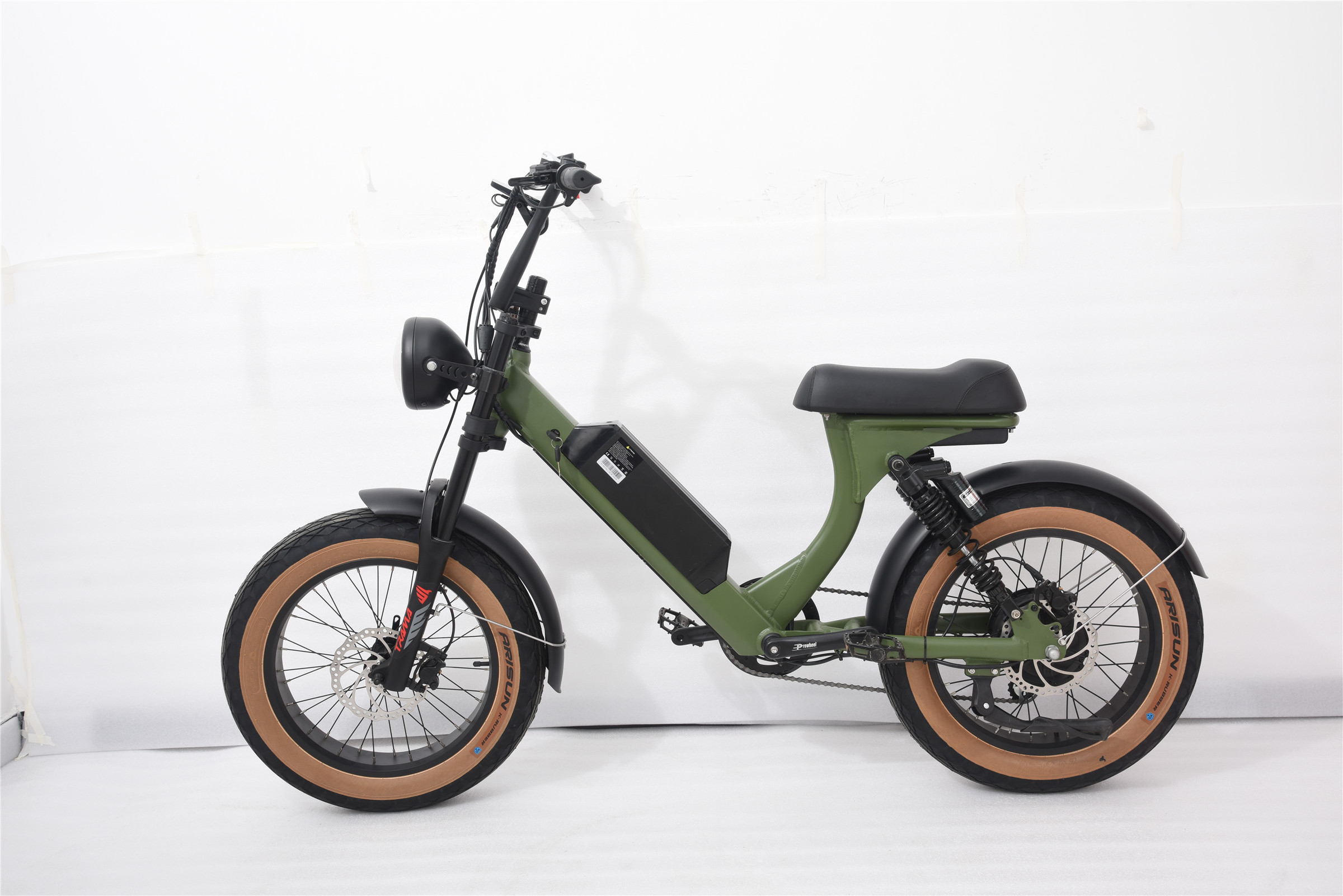 PETRIGO Retro Cruiser Electric Bike Motor Mountain Bike Fat tire Step Through Utility Cargo Bikes Modern ebike Electric Bicycle