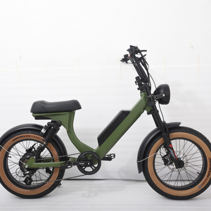 PETRIGO Retro Cruiser Electric Bike Motor Mountain Bike Fat tire Step Through Utility Cargo Bikes Modern ebike Electric Bicycle