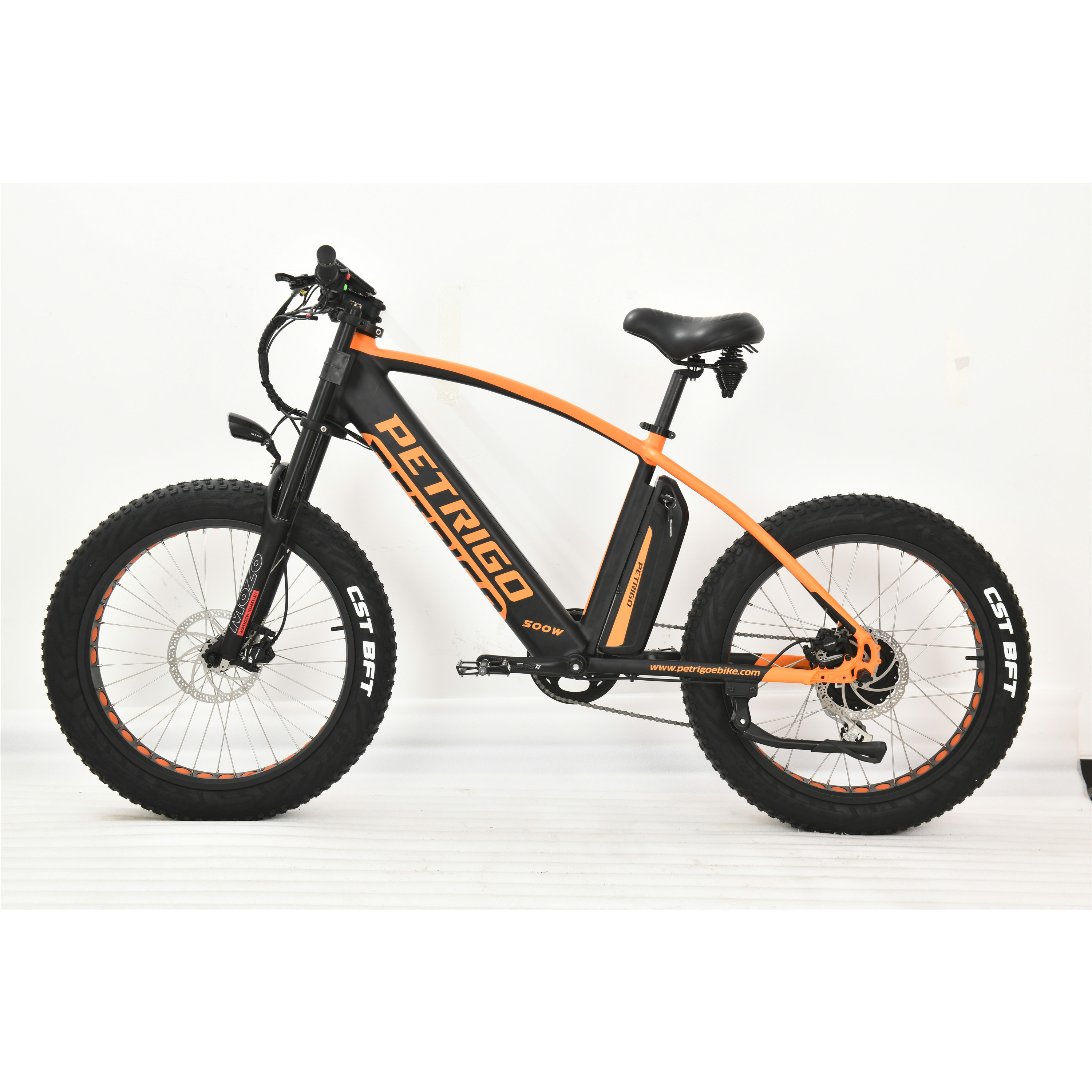 PETRIGO Fat Tire MTB Assisted Bicycle Electric Man Motor e Bike Modern Hybrid Dual Battery Electric bike