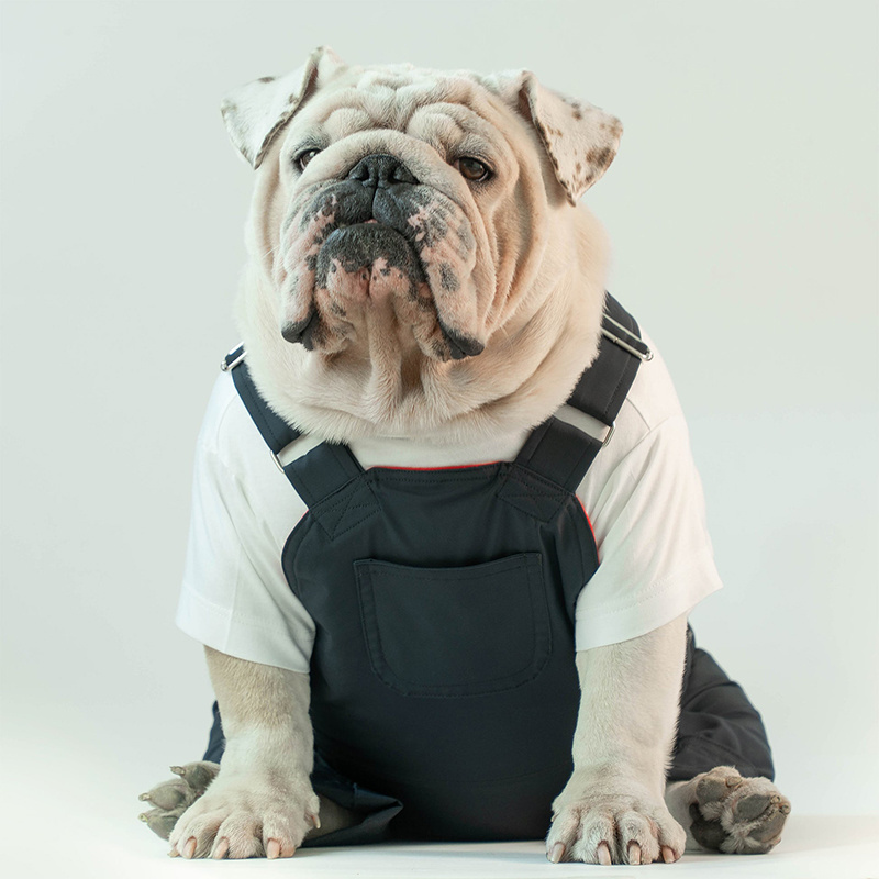 Clothing for dog adjustable dog clothing large for English bulldogs dog spring clothes