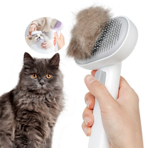 OEM Logo Pet Products Self Cleaning Pet Massage Hair Removal Brush One Click Pet Cat Dog Grooming Brush