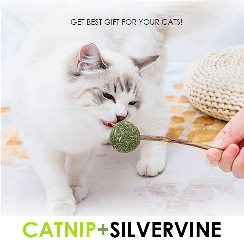 wholesale manufacturer bulk natural catnip ball chewy toy healthy catnip lollipop stick catnip toys for cat