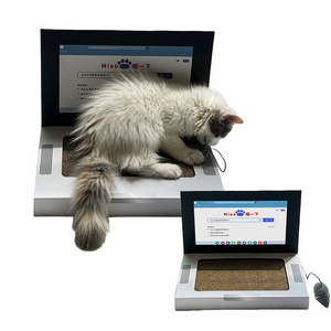 Durable Customize Stickers Cat Scratching Board Creative Laptop Scratcher with Mouse Toys Laptop Cat Scratch Board