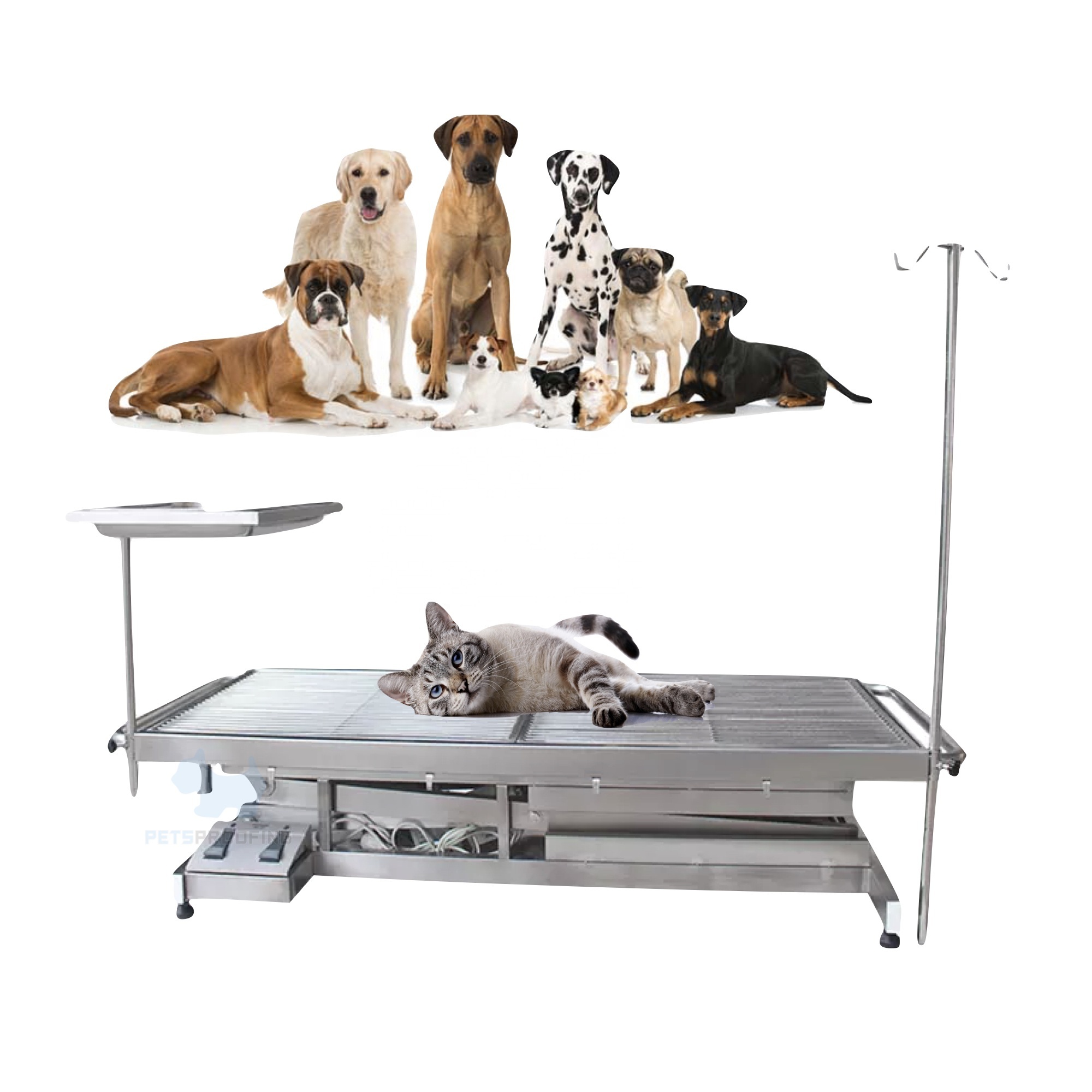 Bed Used Veterinary Surgery Medical Overside Surgical Electric Obstetric Operating Theatre Price Battery Operated Table Lamps