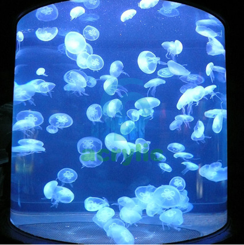 acrylic large fish tank glass aquarium