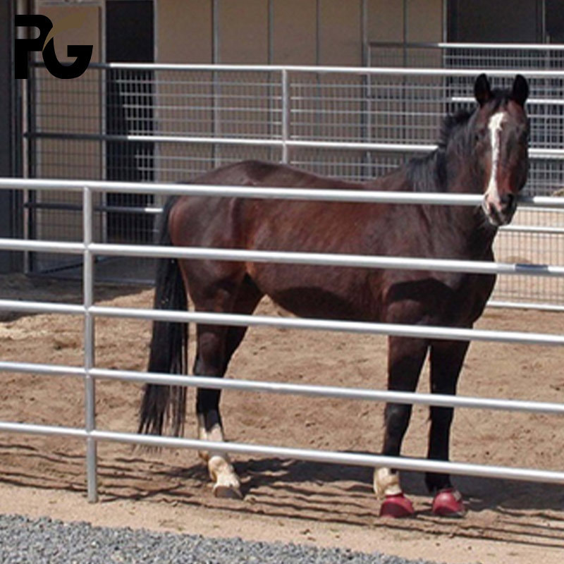 New Zealand market farm animal used livestock fence cattle horse sheep panels and corral gate hot sale