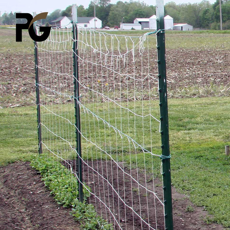 7ft Studded t Type Steel Fence Posts For Sale Studded Steel t Post