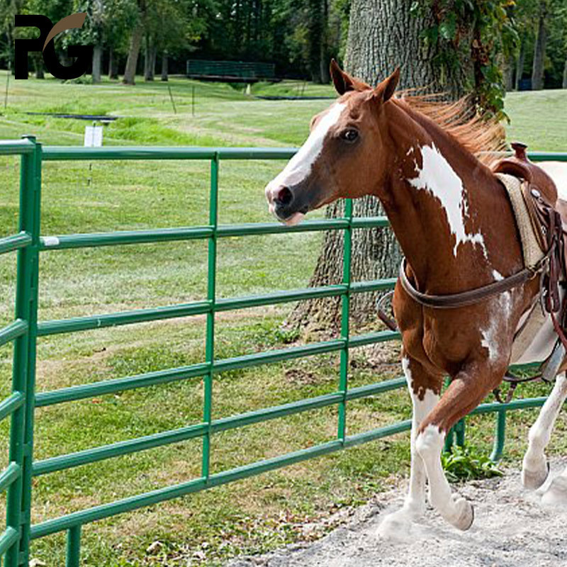 Direct Factory Farm Animal Used Livestock Fence horse yard panel galvanized portable cattle fence corral panels for sale