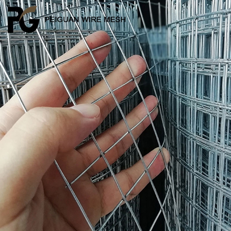 Best Price Hot Sale Bird or Rabbit Cage Mesh Square Hole 1x1 Welded Wire Mesh