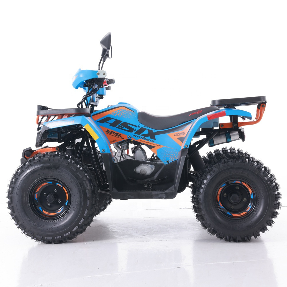 2021 Motor Tao ATV 110 Custom  Four Wheel Beach Buggy Dual Four Wheel Adult Engine 125cc  Grade Ability: 20-25 for sale