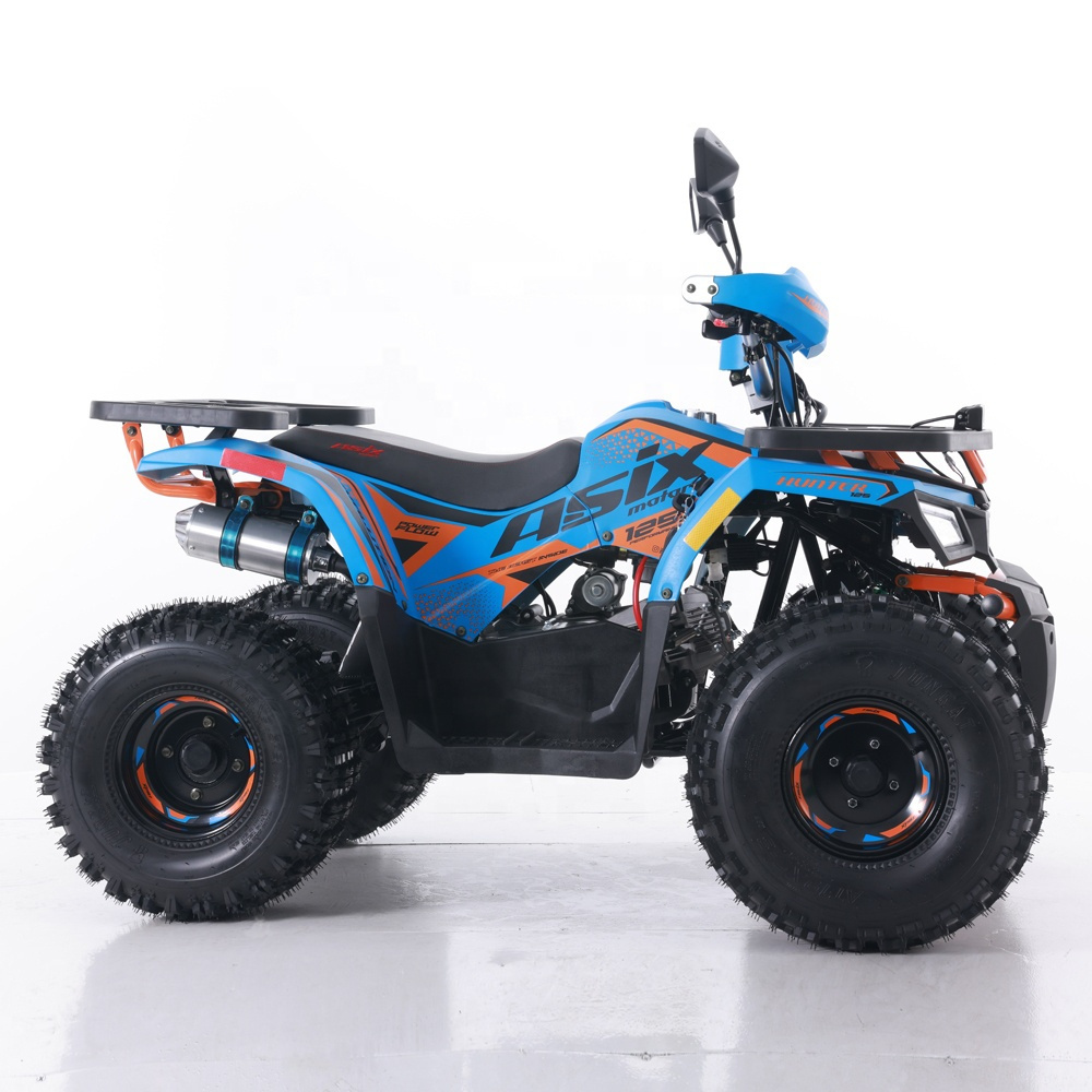 2021 Motor Tao ATV 110 Custom  Four Wheel Beach Buggy Dual Four Wheel Adult Engine 125cc  Grade Ability: 20-25 for sale