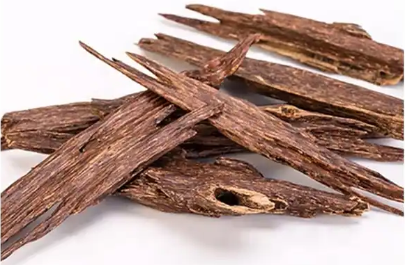 Agarwood Seed, wood and Oil supplier at wholesale price from Asia