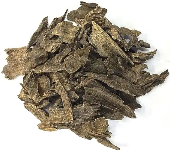 Agarwood Seed, wood and Oil supplier at wholesale price from Asia