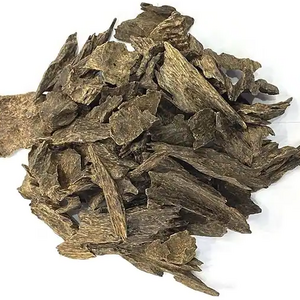 Agarwood Seed, wood and Oil supplier at wholesale price from Asia