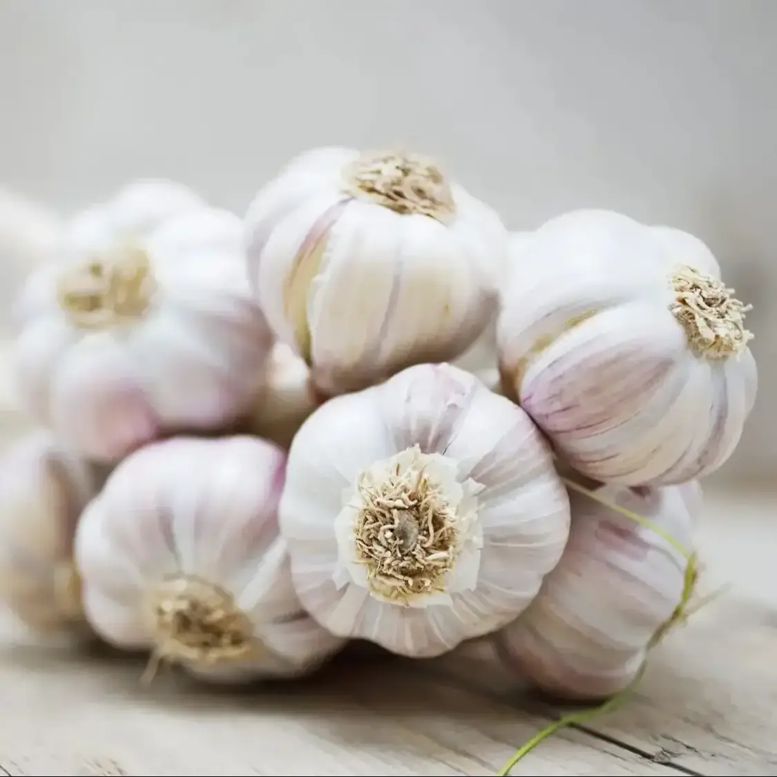 Box Packing Fresh China 2023 Crop Garlic Price 2023 Fresh New Chinese wholesale garlic vacuum peeled Garlic in bulk