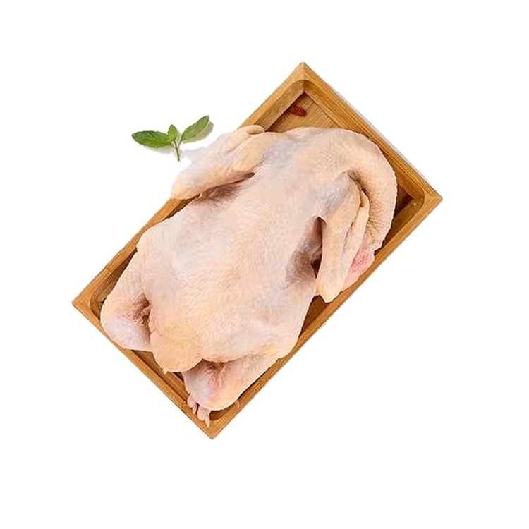 Premium Quality Chicken Frozen Wholesale Cheap Price From Brazil Halal Frozen Whole Chicken and Parts Frozen Whole Chicken