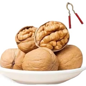 Dried Fruit Bag Packaging 100% Natural a Grade Almonds Raw Wholesale Nuts Raw Pumpkin Seed Walnuts Kernels Nuts Kernels