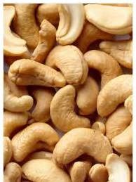 Best Price High-Quality Cashew Nuts Salted Roasted from Vietnam Cayu Cashew Full Organic Guaranteed Superior Quality