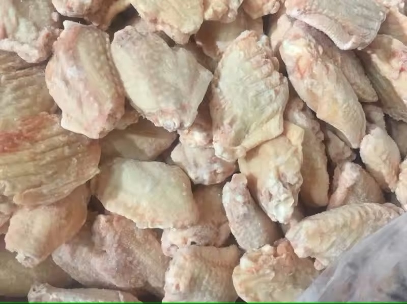 Premium Quality Chicken Frozen Wholesale Cheap Price From Brazil Halal Frozen Whole Chicken and Parts Frozen Whole Chicken