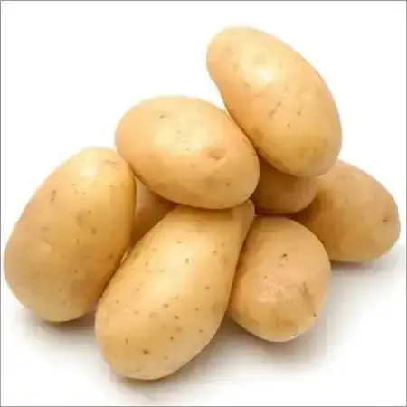 High Quality Indonesia White Fresh Sweet Potatoes From Indonesia Farm Farm fresh potatoes