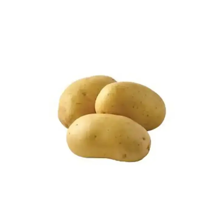 High Quality Indonesia White Fresh Sweet Potatoes From Indonesia Farm Farm fresh potatoes