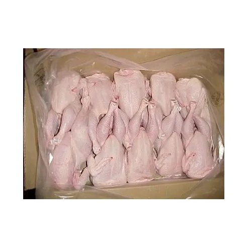 Premium Quality Chicken Frozen Wholesale Cheap Price From Brazil Halal Frozen Whole Chicken and Parts Frozen Whole Chicken