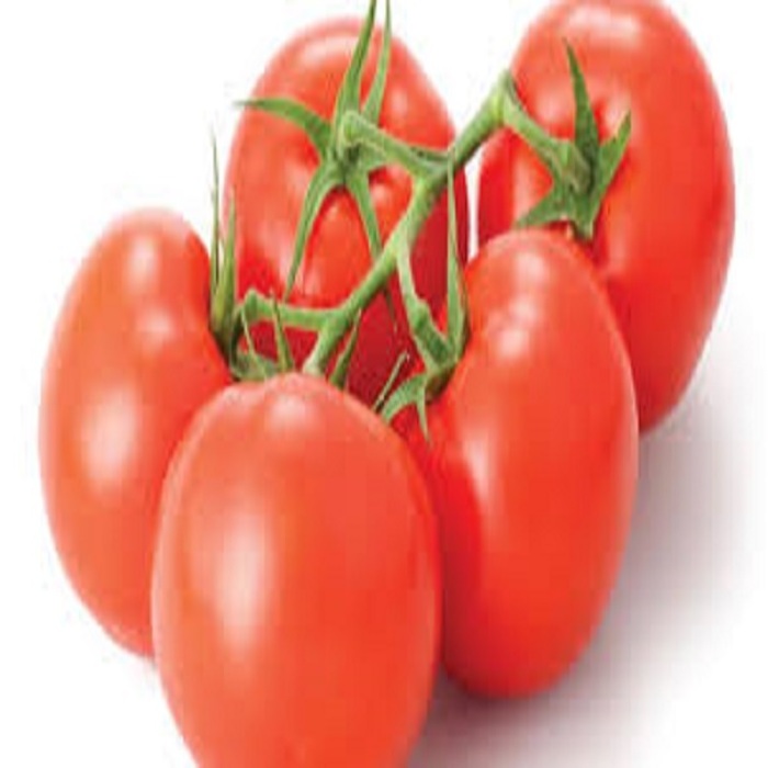 Wholesale Box Style Storage Packaging Fresh Tomato Price Fresh Tomatoes Albania Fresh Cherry Tomato best price