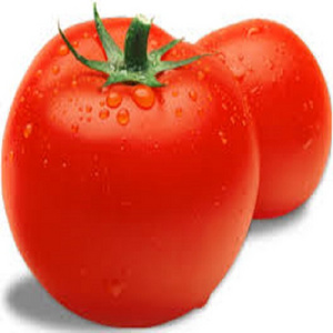 Wholesale Box Style Storage Packaging Fresh Tomato Price Fresh Tomatoes Albania Fresh Cherry Tomato best price