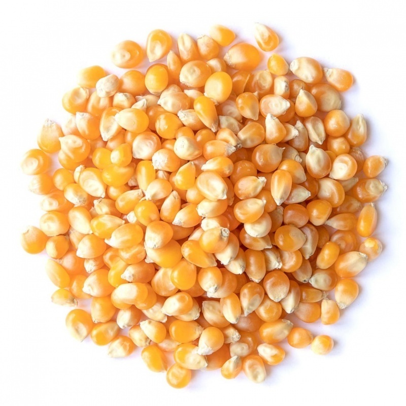 2024 Sweet Yellow Corn / Non GMO Yellow Corn In Bulk Manufacturer From Tanzania Wholesale For Export Newest Crop