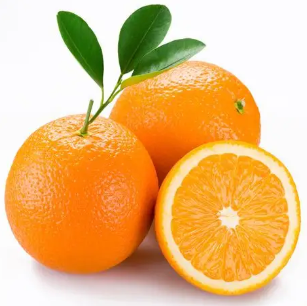 Premium Quality Best Buy 100% Natural and Delicious Fresh Valencia Orange/ Navel Orange