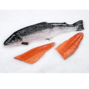 Whole Salmon Fish with Head/Gutted Salmon Factory Wholesale Price