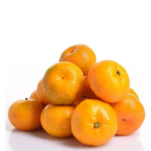 Premium Quality Best Buy 100% Natural and Delicious Fresh Valencia Orange/ Navel Orange