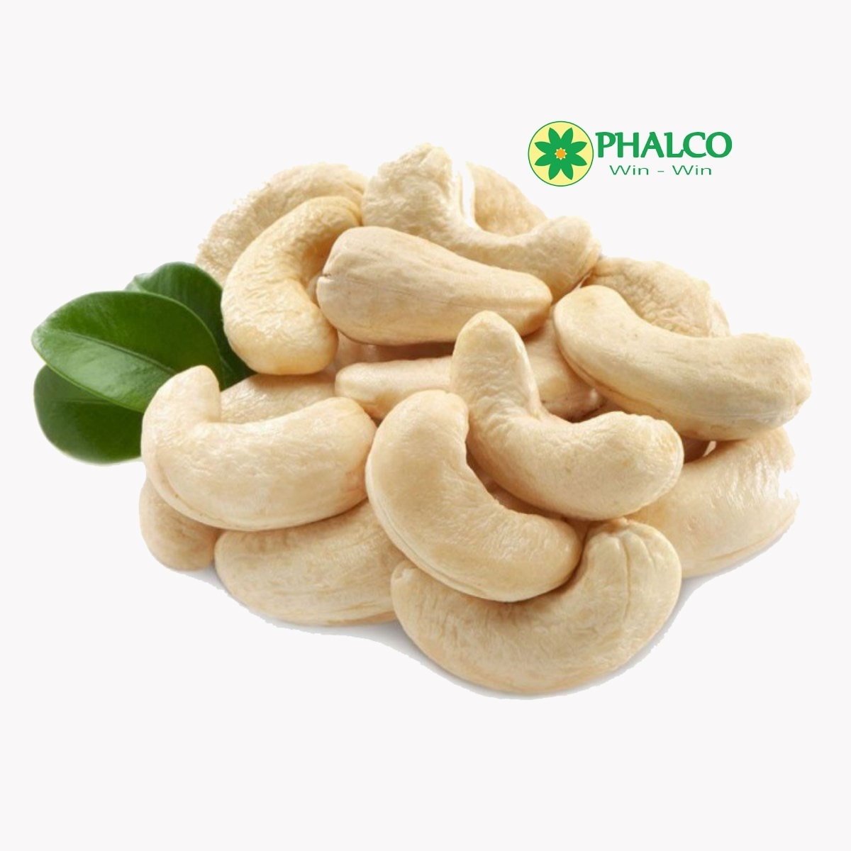 [SPECIAL DEAL] CASHEW NUTS ROASTED CASHEW NUTS ROASTED WITH SKIN CASHEW KERNEL WITH THE BEST PRICE FROM PHALCO +84 869981238