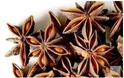 Star anise spice bag packing best price vietnam best manufacturer all kinds of spices viet nam whatsapp 84989042853