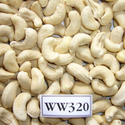 [SPECIAL DEAL] CASHEW NUTS ROASTED CASHEW NUTS ROASTED WITH SKIN CASHEW KERNEL WITH THE BEST PRICE FROM PHALCO +84 869981238