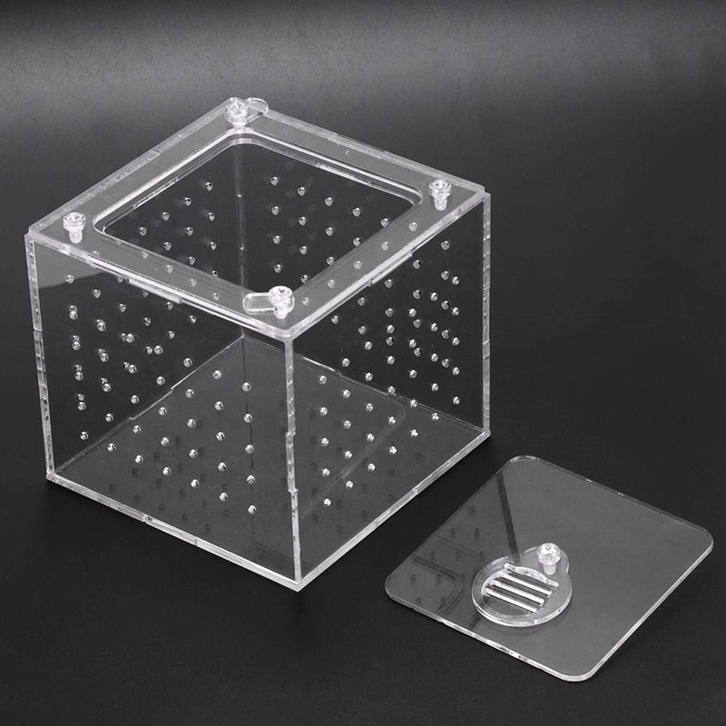 Transparent Reptile Viewing Box Live Food Storage Acrylic Reptile Breeding Box for Spider Crickets Snails Tarantulas Geckos