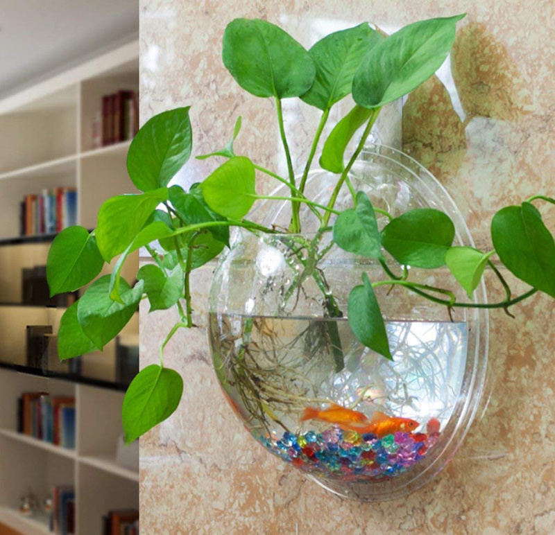 Creative Wall Hanging Acrylic Fish Tank for Water Plant Hemisphere Acrylic Fish Bubble Tank Mini Aquarium Home Decor