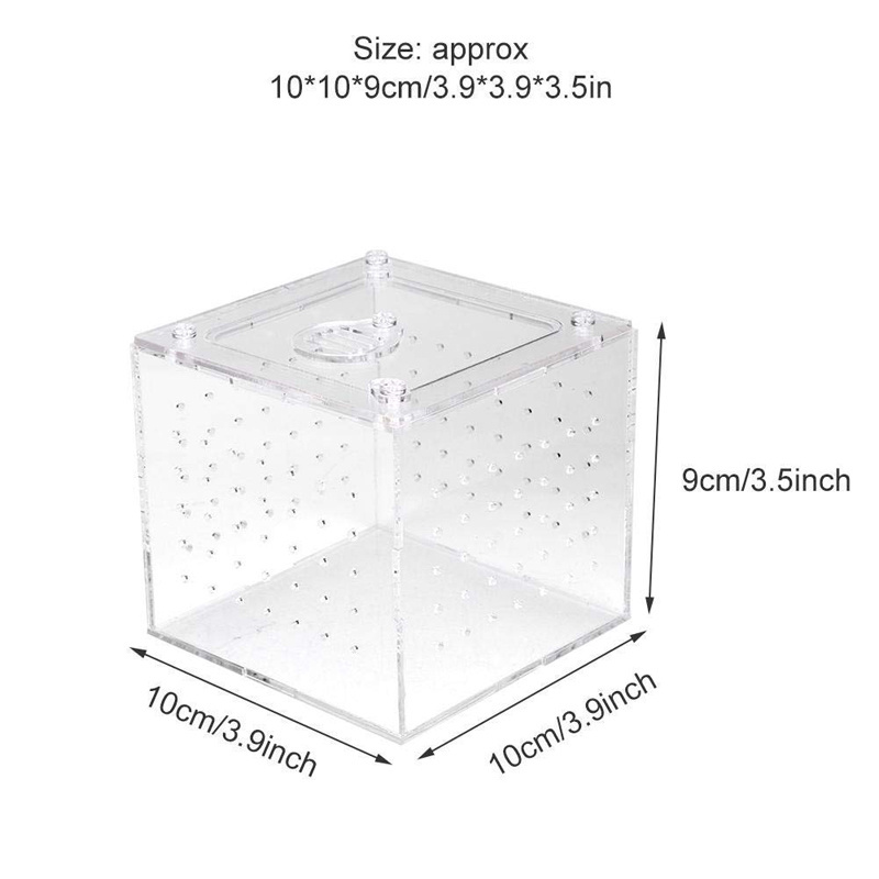 Transparent Reptile Viewing Box Live Food Storage Acrylic Reptile Breeding Box for Spider Crickets Snails Tarantulas Geckos