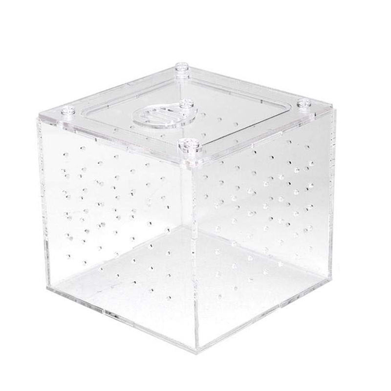 Transparent Reptile Viewing Box Live Food Storage Acrylic Reptile Breeding Box for Spider Crickets Snails Tarantulas Geckos