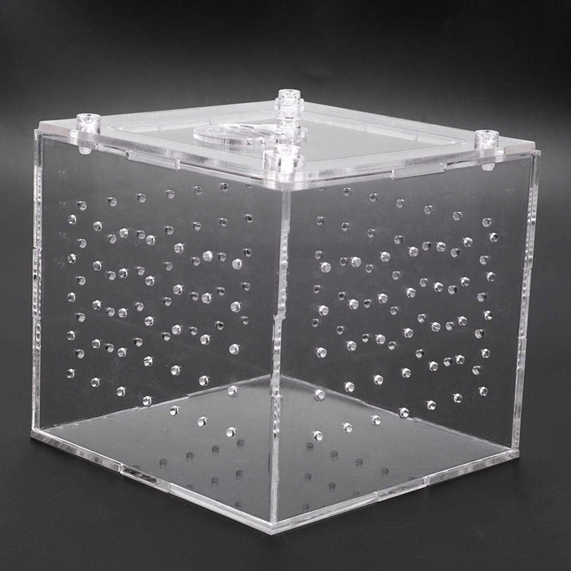 Transparent Reptile Viewing Box Live Food Storage Acrylic Reptile Breeding Box for Spider Crickets Snails Tarantulas Geckos