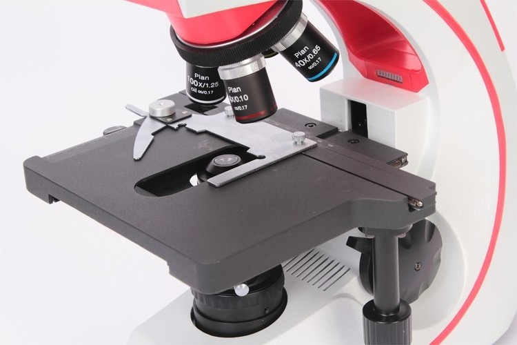 Phenix BMC512-IPL Pathology Laboratory Equipment Digital Microscope Binocular Biological Microscope for Clinical Diagnosis